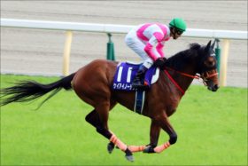 JRAマイラーズC（G2）「見限り早い」ケイアイノーテックにまだ期待。芝のマイル戦で復活か