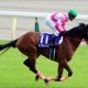 JRAルメール「マイルCSで怖い馬」ロジクライの可能性。C.デムーロで挑戦も「作戦」は