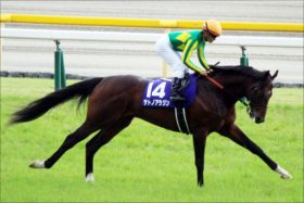 サトノアラジンに「鬱」疑惑!? 香港マイル（G1）に挑む日本マイル王の電撃引退の「裏事情」とは