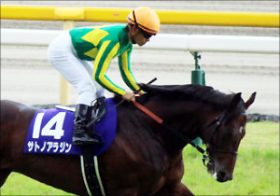 天皇賞サトノアラジンの距離不安は「ゼロ」!? 陣営の「超絶自信発言」とオーナーのひと目惚れ