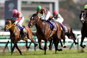 JRAも恐れていた「低レベル菊花賞」が現実に？ レイデオロ「敗者復活戦」と皐月賞馬「1000万下負け」に敗退の苦境