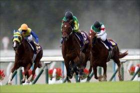 JRA「史上最低」の菊花賞を襲った三重苦……証明された「ファンの動き」とは