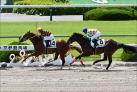 あの「馬券生活者」が宣言！JBCは空前絶後の大波乱？衝撃情報の真実を暴露する！