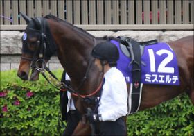 「忘却のフランケル産駒」ミスエルテがスワンSで復活勝利!? 成長力あるも、問題は「性格」か