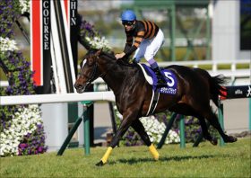菊花賞も10万馬券的中！プロが教える天皇賞、本当の強さランキングに唖然！マカヒキ、レイデオロの意外な評価とは？