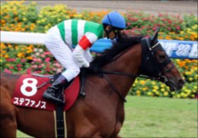 「真」ステファノスが天皇賞・秋で「3度目の正直」!? 過去2回とは違う「過程」は吉か凶か