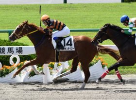 JRA初開催JBCで万馬券祭り！誰もが知る馬券長者の衝撃情報で一獲千金を狙え！