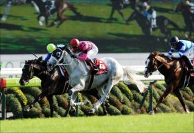 武豊とスマートレイアー最後の挑戦！ 悲願のエリザベス女王杯制覇へ”芦毛の名牝”に立ち塞がる「世界のムーア」と「数奇な運命」