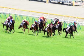 JRAアーモンドアイ、デアリングタクトから大金星狙う!? 新潟に新たな注目レースが新設！ 早くもエリザベス女王杯（G1）の前哨戦として注目される理由