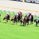 JRA武豊、凱旋門賞(G1)不参戦「裏話」を語る。L.デットーリから「心配メール」クールモアグループ「VIPルーム」で生観戦
