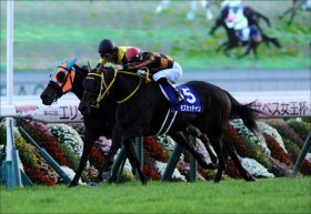 絶好の資金稼ぎエリザベス女王杯。絶対に押さえたい重要な3つのポイントとは…