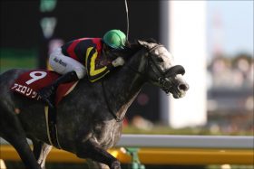 アエロリットはジンクスを打破できるか？マイルCS最新情報と衝撃の極秘情報を公開