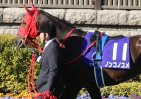 チャンピオンズカップ（G1）で「復活」ノンコノユメに注目？ 前走内容に光も、問題はコースか