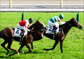 打倒キタサンブラック「ダービーワンツー」挑戦！ スワーヴリチャード有馬記念参戦でレイデオロと「最弱3歳」汚名返上へ燃える