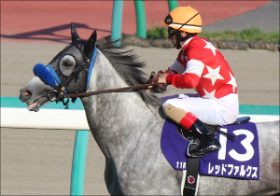 M.デムーロ「レッドファルクス降板」の裏事情入手……「義」を重んじるイタリアンが弟に「スプリント王」を託したワケとレースの行方