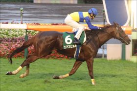 武豊エアスピネルにまたも「暗雲」中山記念回避で順調に行かず「リベンジ」も果たせず……