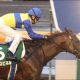 エアスピネルまた未冠「武豊ならば……」ムーア騎手もベスト騎乗を見せたが、もはや足りないのは”ツキ”のみか