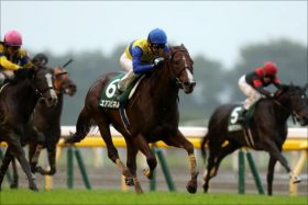 【マイラーズC（G2）展望】武豊エアスピネル「コンビ再結成」で悲願のG1制覇へ始動！「強い4歳」モズアスコット＆サングレーザーが世代交代を狙う！