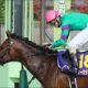 ジャパンC(G1)忘れられた実績馬……「強力なジンクス」「一変の可能性」を秘めた伏兵の激走に要注意!?