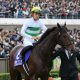 JRA有馬記念(G1)キセキが奇跡の回復!? 栗東から届けられた有力馬情報大放出!