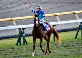 【京都大賞典（G2）展望】シュヴァルグランなど強豪が集結！ 大本命を止める「伏兵」陣も虎視眈々!?