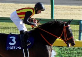 チャンピオンズカップ（G1）「出遅れなければ」ゴールドドリーム!? 世界的名手ムーアとのコンビで春秋制覇へ