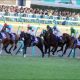 「北」を持つ「北」島三郎のキタサンブラックが有馬記念勝利確実!? 「今年の漢字」もラストランを後押し