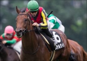 ステルヴィオ「リベンジ」＆「ロードカナロア初重賞制覇」へ出陣！ 朝日杯FS「第3の男」の状態は