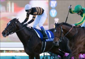 有馬記念（G1）「一攫千金」の鍵は復活ドラマ!? 劇的勝利を飾ったオグリキャップ、トウカイテイオー、ジェンティルドンナの意外な「共通点」とは