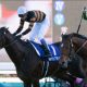 有馬記念(G1)「どん底復活コンビ」三浦皇成×ブレスジャーニーに超期待!? 暮れのグランプリで”似たもの同士”が覇を狙う