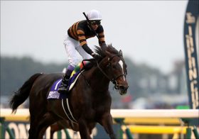 キタサンブラックが世界最強アロゲートに勝つにはこれしかない！衝撃の「世界記録奪取」大作戦とは