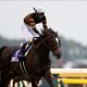 デムーロは納豆で有馬記念の勝負に臨む!話題の競馬番組『キシュメシ!』が面白かった!次は武豊&関東編で復活を希望