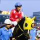 JRAは蚊帳の外……的場文男7152勝でも世界9位。ブラジルのレジェンドは1万2845勝とまさに異次元!世界のトップジョッキー達が凄すぎる!
