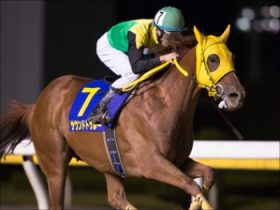 【東京大賞典考察】サウンドトゥルー「鮮やかな末脚で助演男優賞を返上し、『主役』の座を狙いに来た絶好調男！だが『天』に見放されれば善戦マンに逆戻り!?」