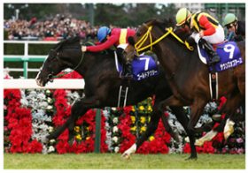 アヤパンと破局に暴行事件、涙の復活……武幸四郎の抱える”ハンデ”と、兄・豊にない”魅力”