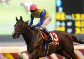 エアスピネルが1週前追い切りで好時計！「新マイル王」襲名に向け、難敵揃いの東京新聞杯（G3）は試金石の一戦