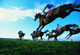 【新潟記念（G3）展望】新潟・夏競馬の締めくくり！重賞馬だけではなく思わぬ伏兵も存在の混戦レースを制するのは誰だ!!