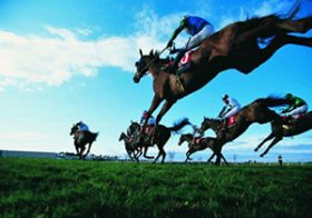 ディープインパクト産駒「イタリア種牡馬」引退に期待大！ 旋風が世界に広がる