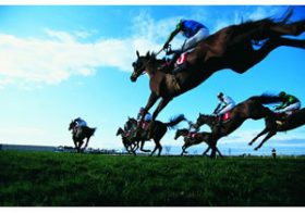 至高のゼイタク？ 馬主もゲッソリ？ 3億円越え「超高額競走馬たち」の成績が悲惨すぎて笑えない……