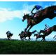 今週(25・26日)馬券の狙い目~阪神&東京馬主最期の大勝負?~