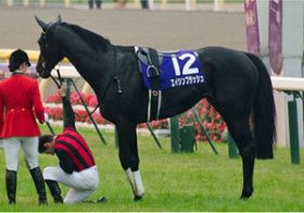 五郎丸は驚愕、武豊は脱帽……海外からの出稼ぎ軍団に、日本人はもはや虫の息