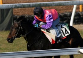 「サトノダイヤモンドはついに完成の域へ」「工夫に工夫を重ねた仕上げのシュヴァルグラン」鈴木和幸が見極めた全17頭の状態。天皇賞（春）出走馬の最終追い切り診断公開中！