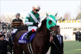 JRA「親子鷹G1」に望みを託せ！ 金鯱賞（G2）ヤマカツエースで池添一家「3連覇」狙う