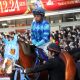 中野省吾「ラストラン」にファン殺到? 「地方の天才」まさかの引退に残念がるオーナーの声も……
