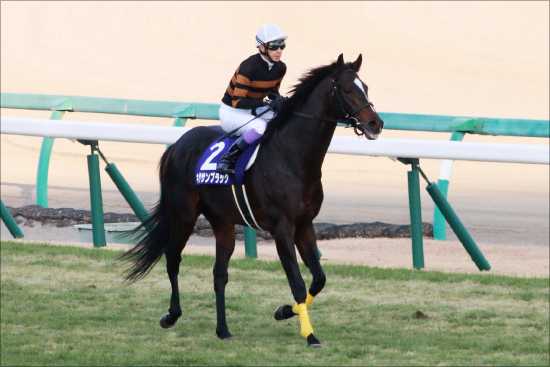 JRA武豊「不在」の中、全弟厩舎からキタサンブラック全弟がデビュー。初戦から名コンビならずも、鞍上は兄弟ゆかりのアノ騎手の画像2