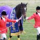 人気芸人「全財産勝負」大敗……「1月の負け分をすべて取り返す」意気込むもJRA新春大荒れレースの前に散る