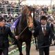 JRA「1億9440万円」スワーヴエルメは異色の血統!? 期待の大器は連敗ストップで父ドゥラメンテの名誉を挽回できるか