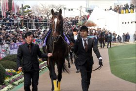 キタサンブラック「現役復帰」余裕の坂路調教!? フェブラリーSでの「G1勝利新記録」の声まで噴出