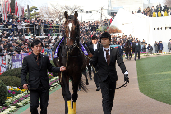 武豊は「偽り」のグランプリ男!? 有馬記念ワールドプレミアに3着以内率「78％」の超強力データも、勝負強い池添謙一との傾向くっきりの画像2