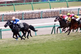 【シルクロードS（G3）展望】武豊ダイアナヘイローに復活をかけるセイウンコウセイ！ 昨年と同じローテーションでの連覇達成なるか？